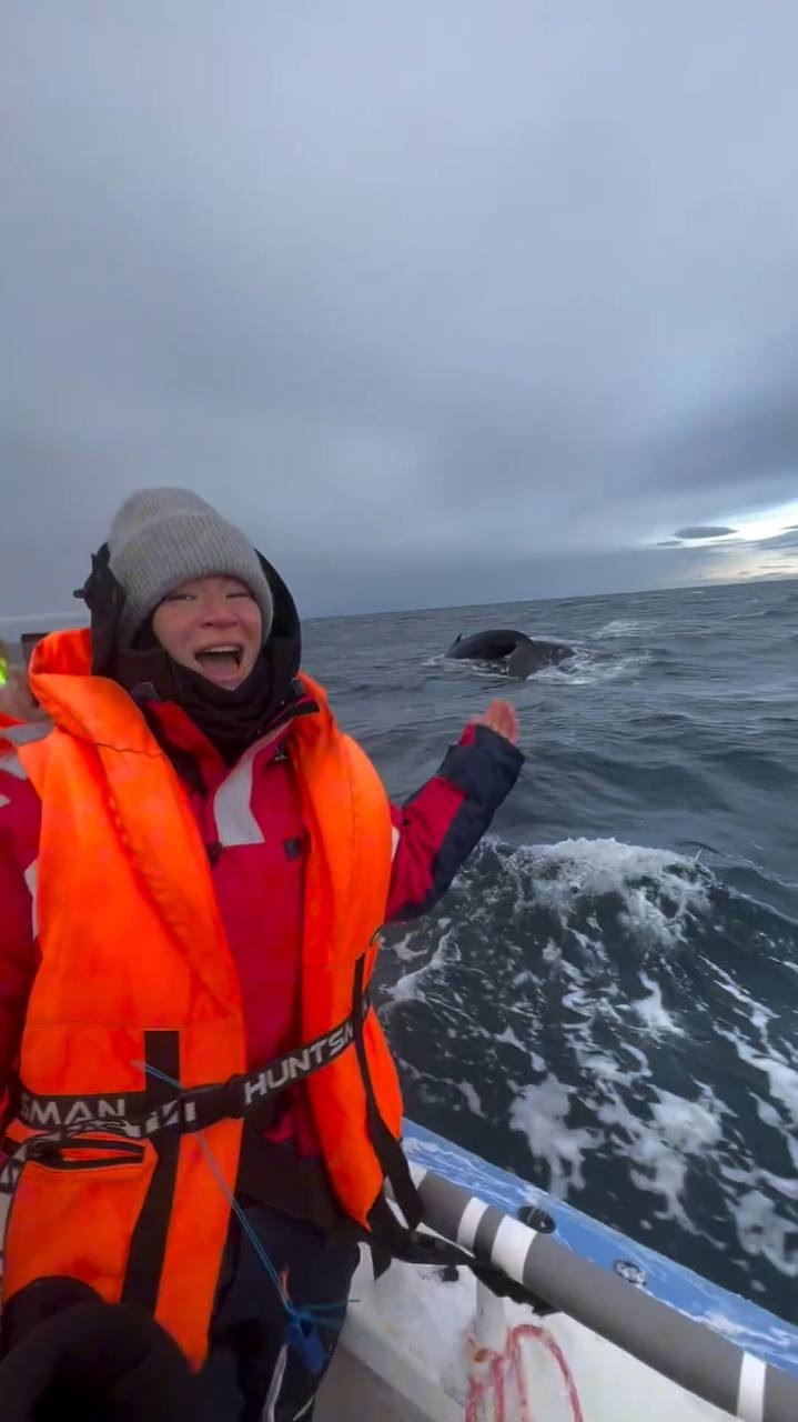 «Я люблю тебя жизнь!»: Ида Галич исполнила свою заветную мечту - увидела горбатых китов