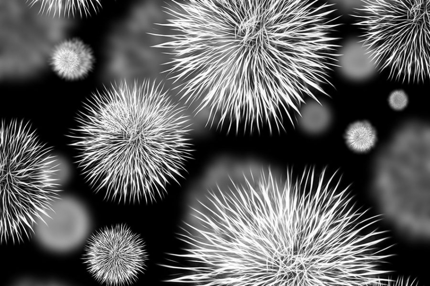 В США предупредили о смертельной инфекции головного мозга, возникающей из-за небезопасного промывания носа