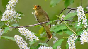 Приметы и поверья на 15 мая 2024 года помогут улучшить материальный достаток и обрести счастье