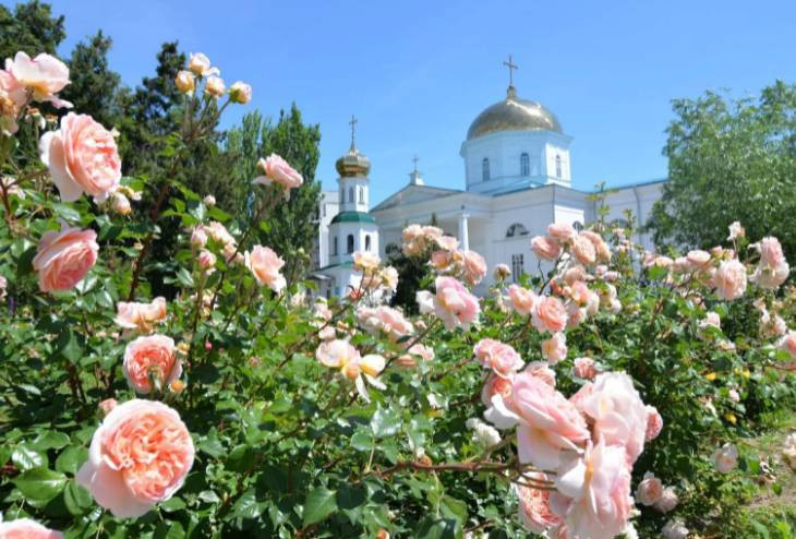 Как православные могут впустить в дом благодать в Духов день