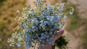 Какой будет погода 26 июня, таким будет и все лето: народные приметы