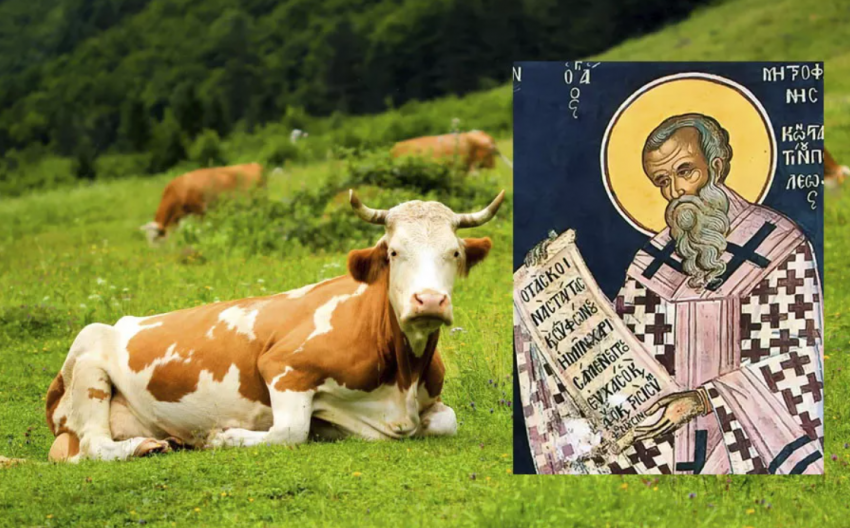 Что можно и что нельзя делать по старым традициям на Митрофана Навозника, 17 июня 2024 года