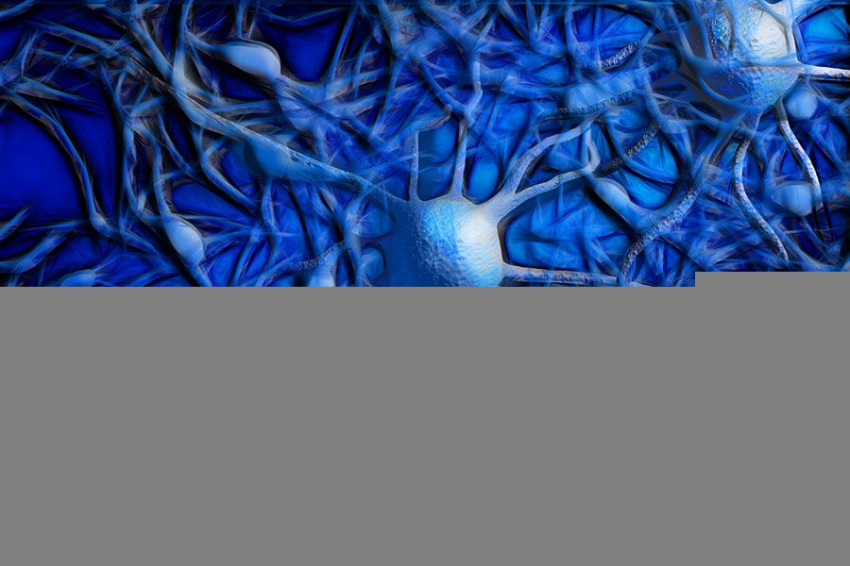 Nature: обнаружена неврологическая основа анорексии