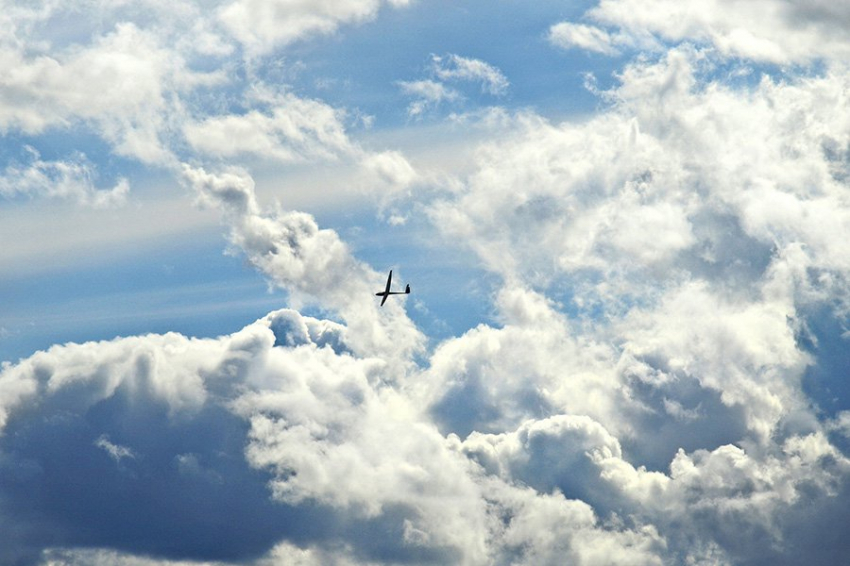 МО: над Белгородской и Курской областями за ночь уничтожили пять БПЛА