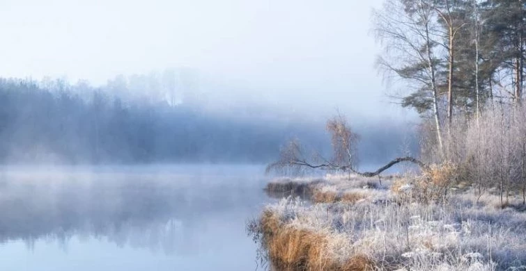 Интересные традиции и строгие запреты в народный праздник 20 ноября 2024 года