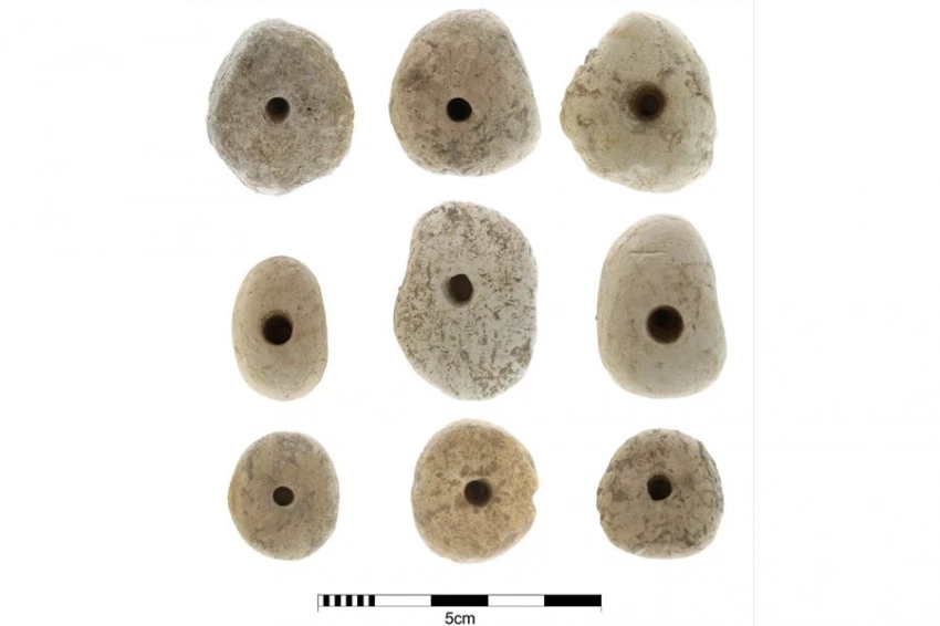 12000-летние камни лет стали ранним свидетельством колесообразной технологии