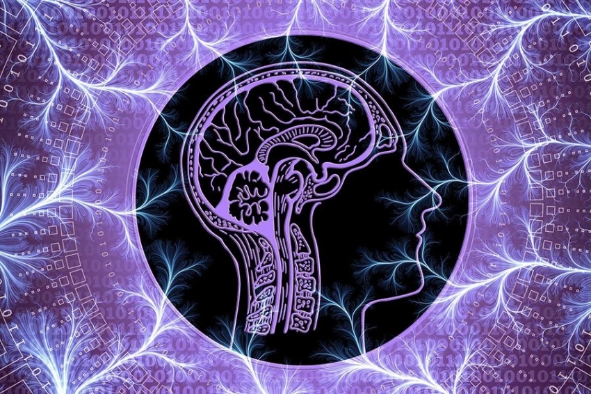 Мозг, находящийся в состоянии стресса, формирует более обширные воспоминания