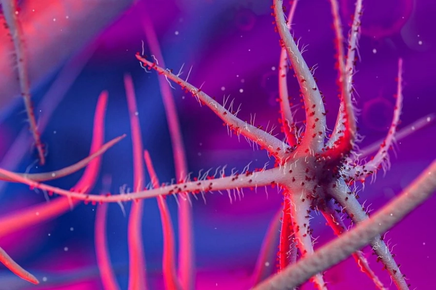 Антибиотики бессильны: ученые нашли способ перехитрить супербактерии