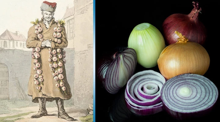 Чудо-продукт: почему в древности люди верили, что лук дарует вечную жизнь