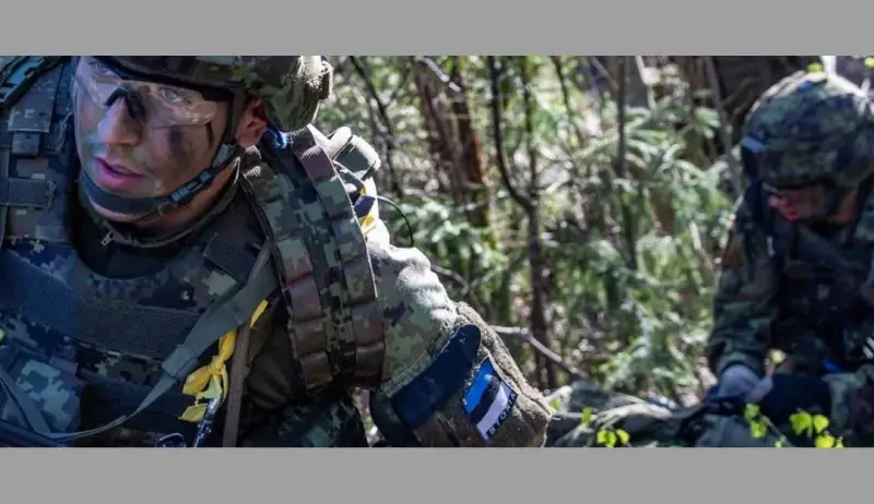 «Два эстонских сержанта»: у властей Прибалтики припасён вариант на случай, если НАТО потребует отправить военных «миротворцев» на Украину