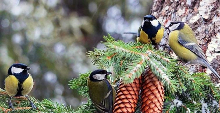 День Николая Чудотворца 19 декабря 2024 года: как загадать желание в церковный праздник и о чем можно попросить