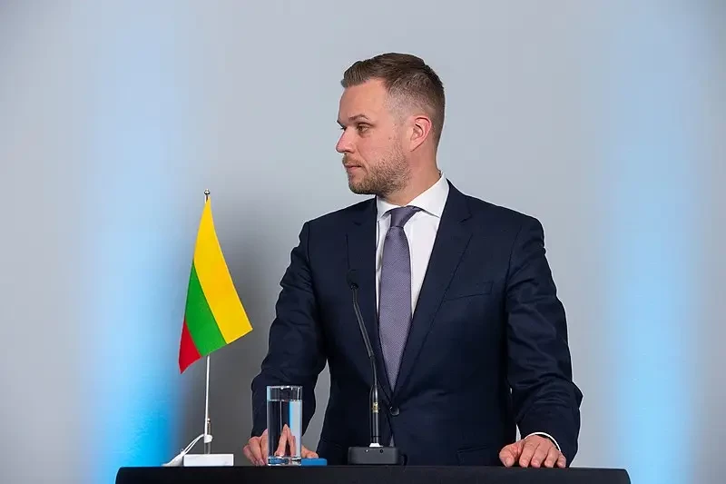 Экс-глава МИД Литвы призвал выработать стратегию по «недопущению нападения разваливающейся» России на страны НАТО