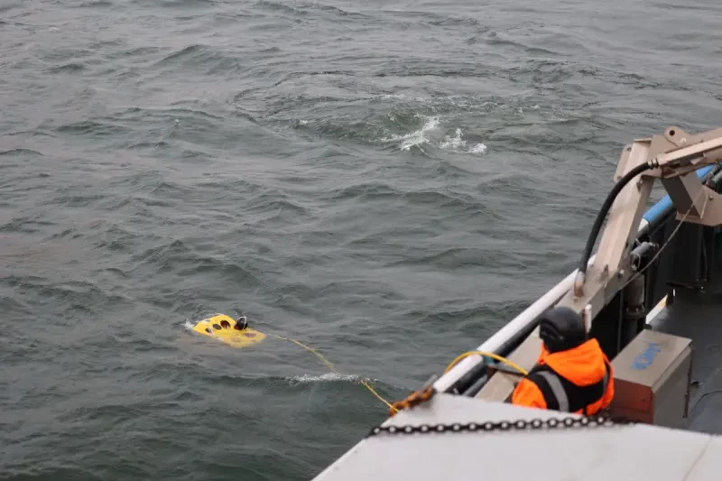 Финны нашли рядом с повреждённым кабелем на дне моря некий след, якобы оставленный якорем танкера Eagle S