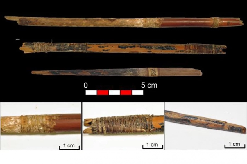Иберийцы эпохи неолита были мастерами изготовления луков