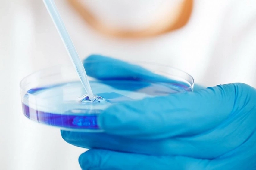 На Украине ученые выявили тревожный рост числа неизлечимых супербактерий