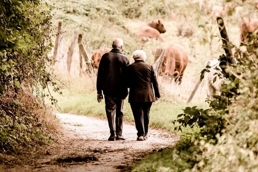 Ходьба 2.0: как превратить обычные прогулки в эффективную тренировку