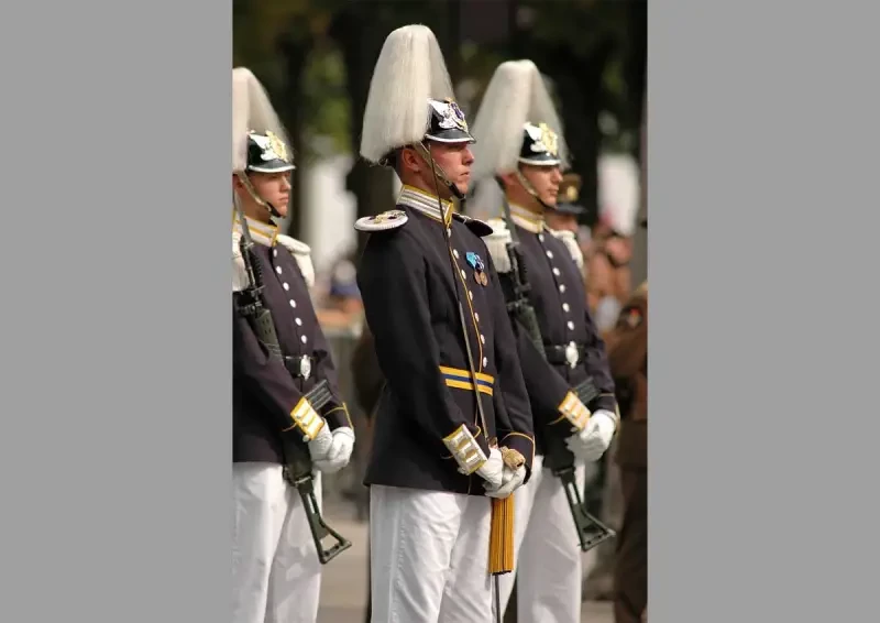 «Поскользнулся и упал на штык»: сообщается об инциденте со шведским солдатом у королевского дворца
