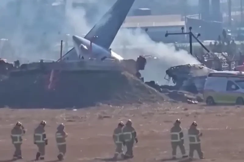 «Утиная история»: изучена ДНК «виновниц» крушения авиалайнера в Южной Корее