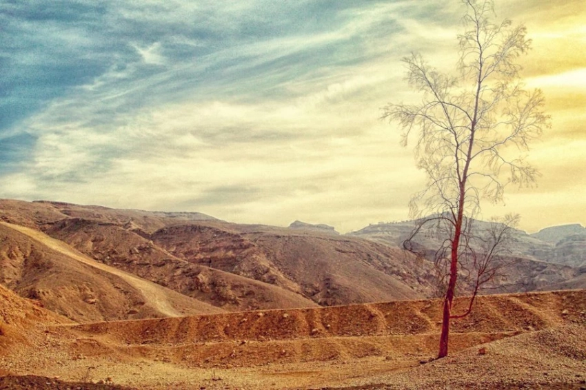 Температура зашкалила: 2024 год стал самым тёплым за всю историю наблюдений