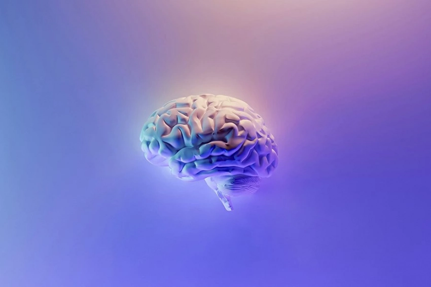 Ученые выяснили, как мозг различает ощущения жара и холода