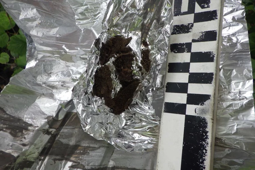 1000-летний тайник индейцев племени дене найден недалеко от залива Кука