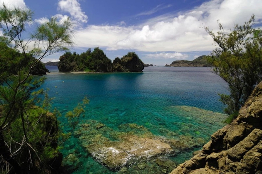 SSA: повторный анализ землетрясения у Бонинских островов поразил сейсмологов