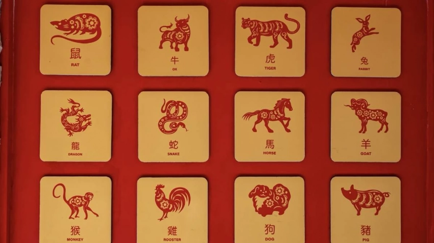 Советы китайского гороскопа на февраль 2025 года для всех знаков