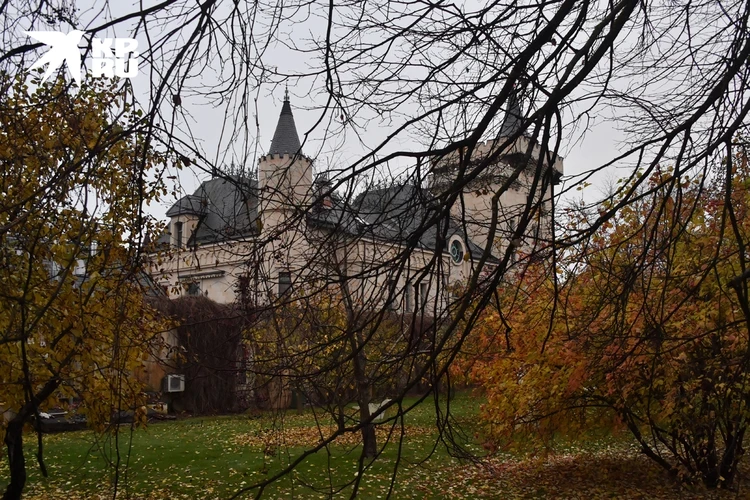 Печальные известия об Алле Пугачевой и Максиме Галкине*: вот что случилось