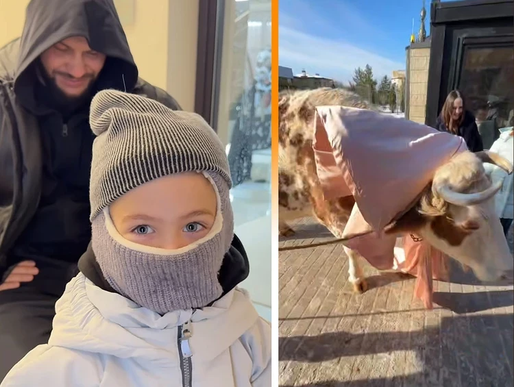 Оксана Самойлова и Джиган подарили своему сыну на пятилетие настоящую корову