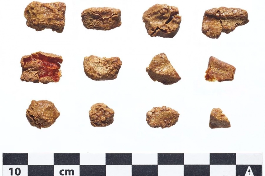 В 3000-летней урне в Сирии найдены бусины из балтийского янтаря