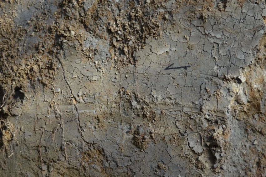 Царапины на разломах дают ключ к лучшему пониманию механики землетрясений