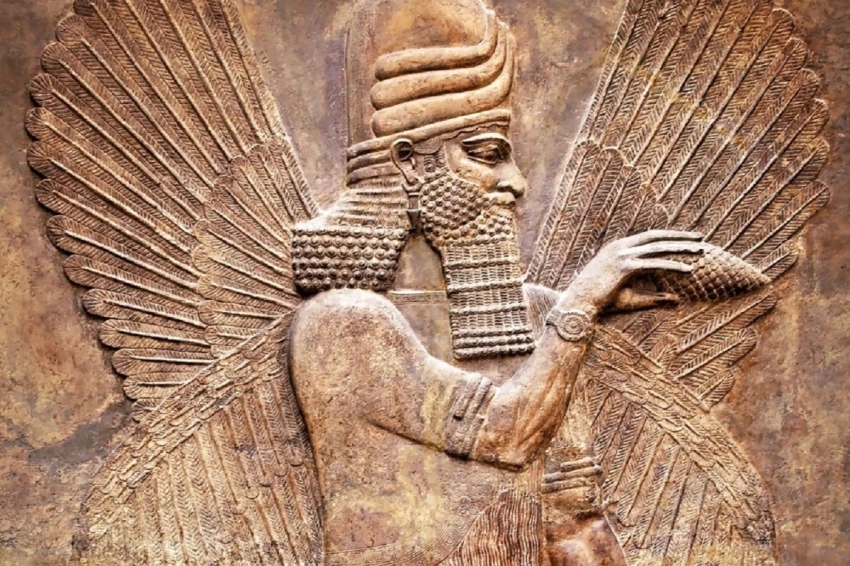 Вживляли клетки в тело женщины: В Сети обсуждают версию шумеров о создании человека разумного