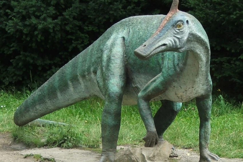 В Монголии обнаружены следы крупнейшего динозавра в мире: размеры ошеломляют