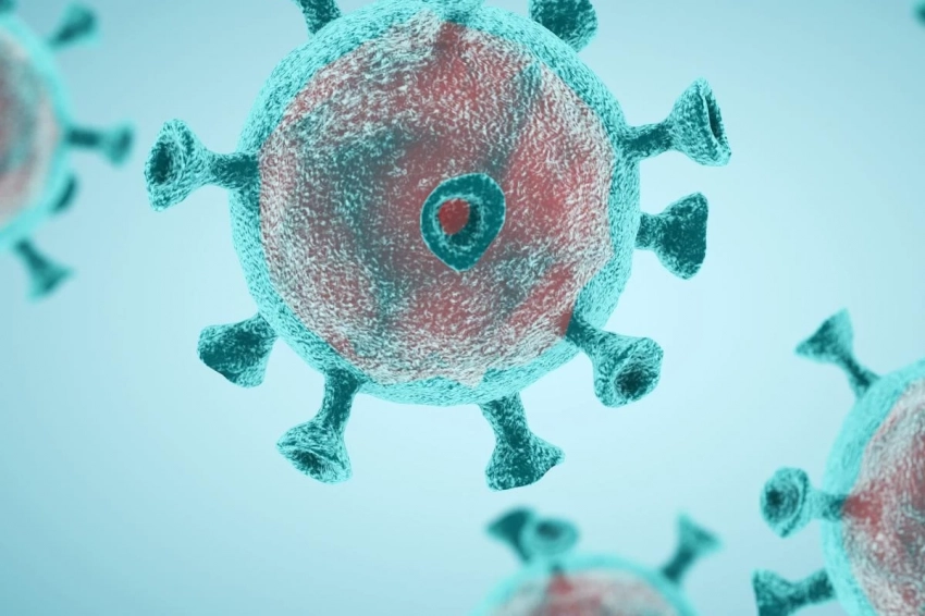 Роспотребнадзор мониторит все сообщения о новом коронавирусе в Китае