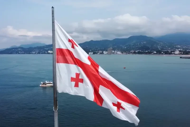 Грузинский политик: страны Прибалтики используют Грузию для отвлечения от себя внимания России