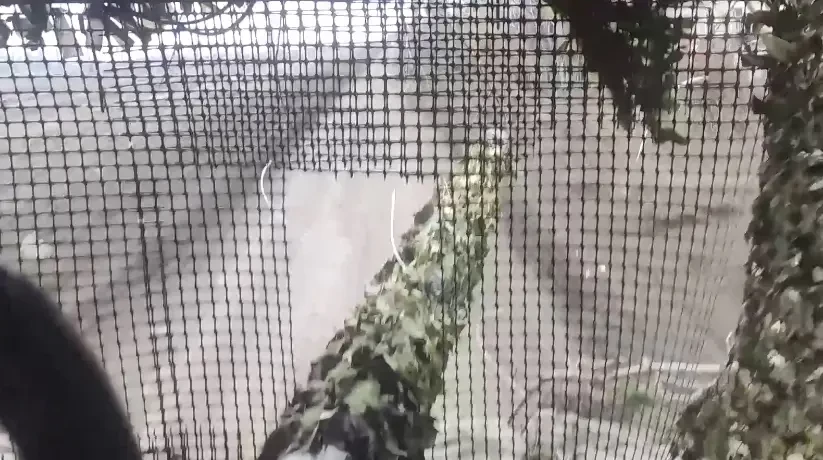 ВС РФ вплотную подошли к юго-восточной границе Харьковской области и взяли под контроль участок дороги на Боровую