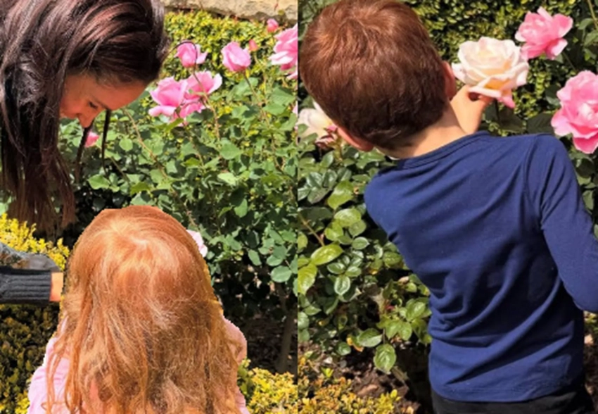 "Их рыжие волосы ненастоящие". В сети обсуждают новое фото детей Меган Маркл и принца Гарри