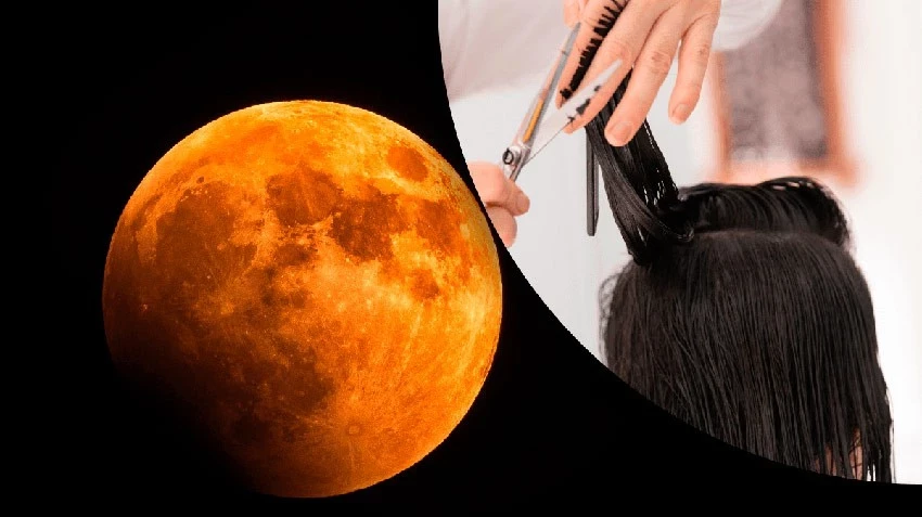 Когда стричь волосы в мае 2025 года согласно лунному календарю