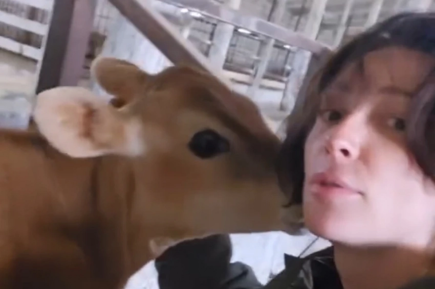 Как живет звезда скандальной вечеринки Ивлеева: забросила бизнес и променяла Lamborghini на трактор