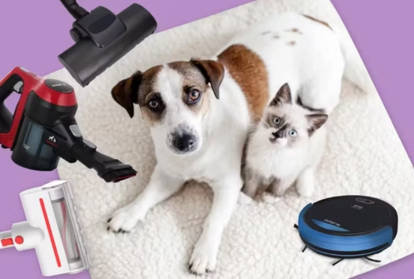 Как выбрать хороший моющий пылесос для мебели и не пожалеть