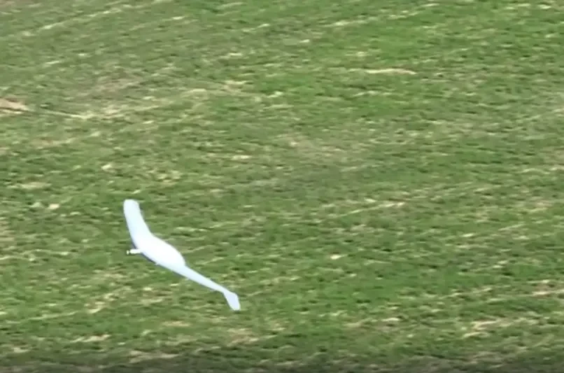 Показана работа системы уклонения от FPV-перехватчиков на разведывательном БПЛА «Альбатрос М5»