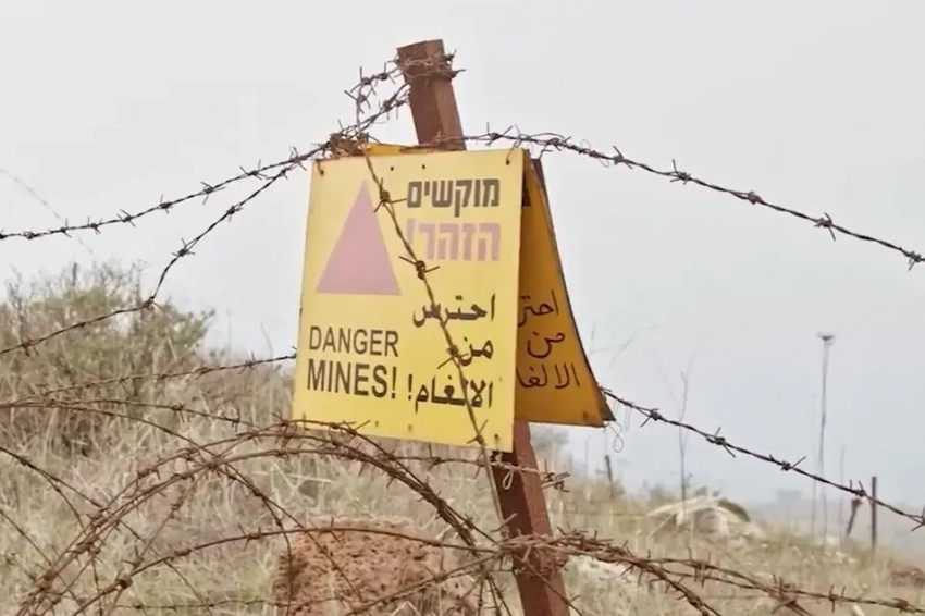 Депутаты парламента Финляндии высказались за выход страны из конвенции по запрету противопехотных мин