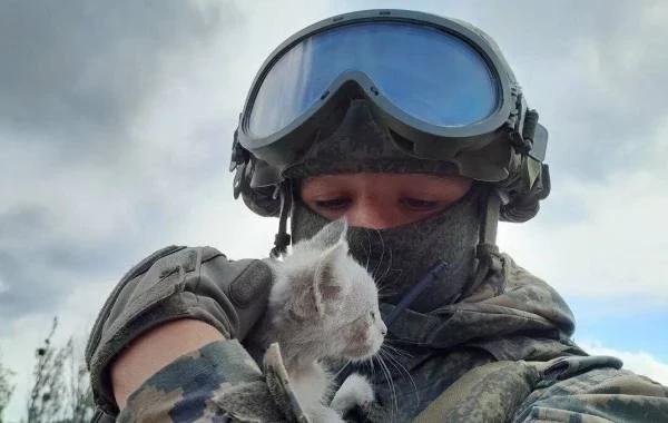 Когда может закончиться СВО: свежие прогнозы и комментарии на сегодняшний день, 02.08.2025