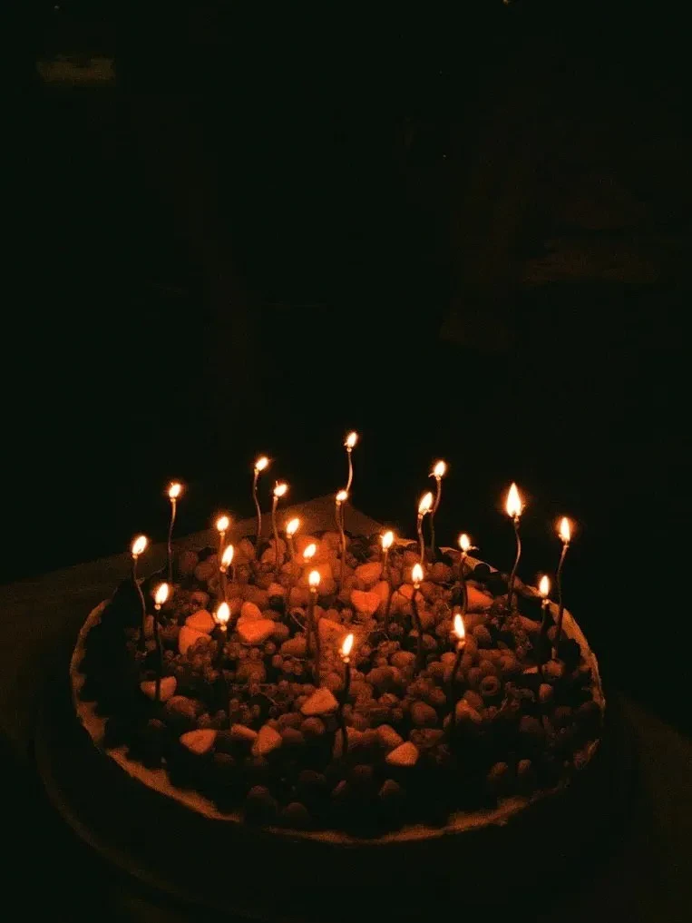 Саша Новикова, Федук и Катя Кищук посетили день рождения Ксении Дукалис