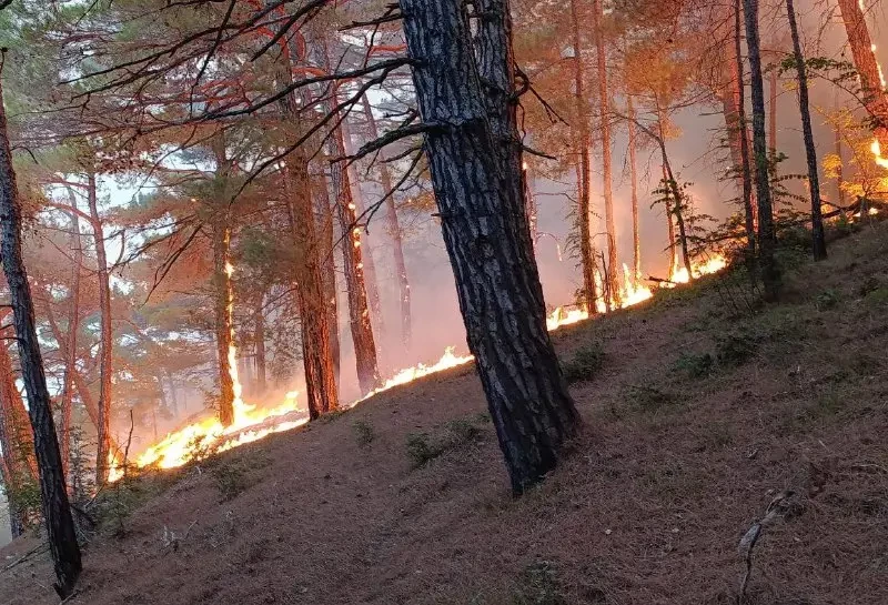 Атака дрона ВСУ на нефтеперерабатывающий завод в Краснодарском крае привела к возгоранию