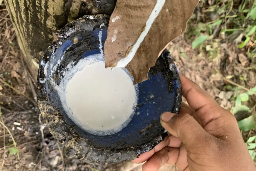 Синтетический каучук: как капиталисты душили друг друга