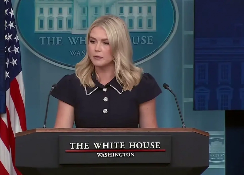 Левитт: Зеленского на встрече президентов США и России не будет