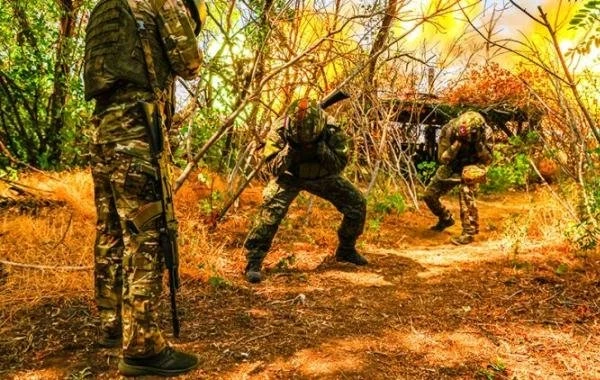 Последняя сводка СВО от Юрия Подоляки на 02.09.2025: ВС РФ прорвались в центр Покровска