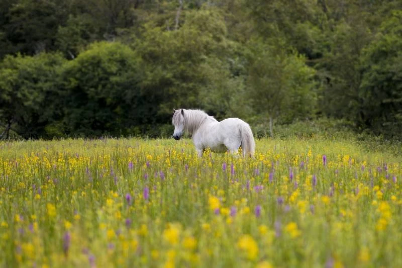 Какие праздники отмечают в России и в мире 25 сентября 2025 года