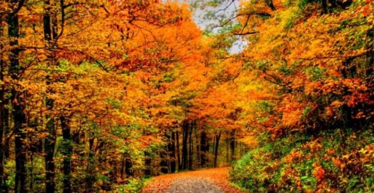 Церковь 25 сентября 2025 года празднует Артамонов день